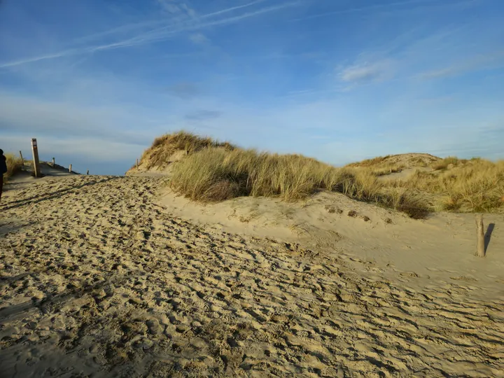 Oostnieuwkerke duinen wandeling in de koude (België)